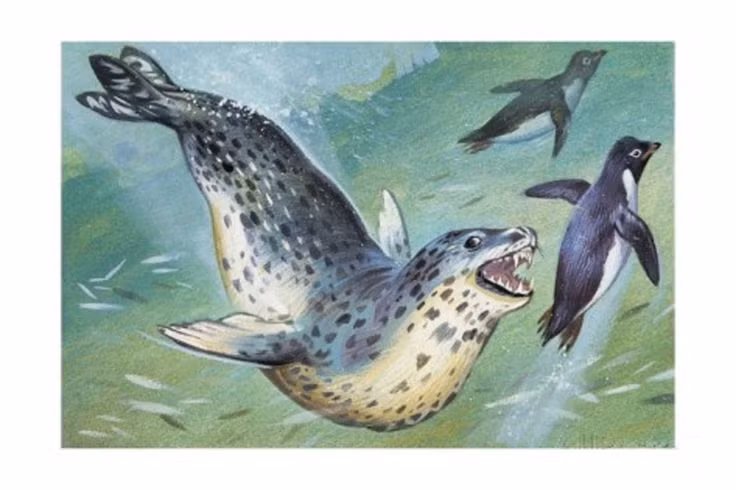 Tiet lo cuc soc ve loai hai cau tan bao nhat the gioi