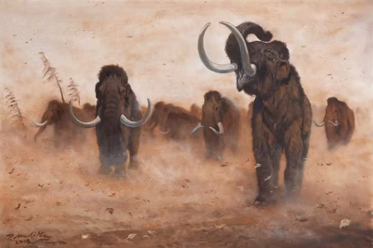 5. Chúng tuyệt chủng khoảng 4.000 năm trước. Ma mút đã biến mất khỏi lục địa, nhưng một nhóm nhỏ còn tồn tại trên đảo Wrangel (Nga) cho đến khoảng 2000 TCN. Ảnh: Pinterest.