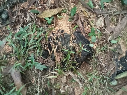 Hiện trường vụ việc.