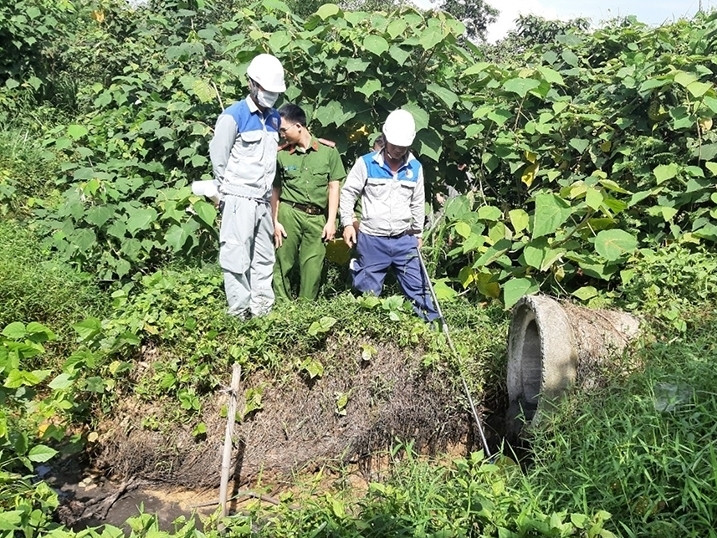 Lực lượng chức năng tiến hành kiểm tra trang trại lợn gia đình bà Nguyễn Thị Lý.