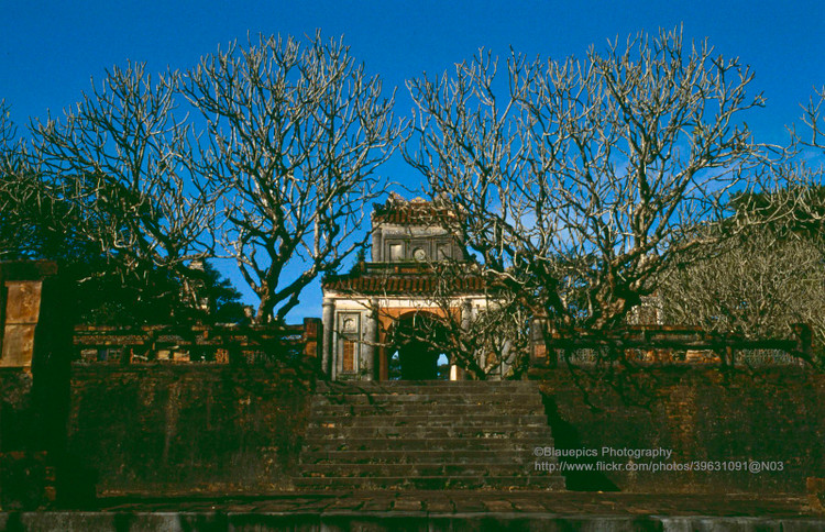 Ngan nguoi truoc ve dep moc cua Co do Hue nam 1993-Hinh-8