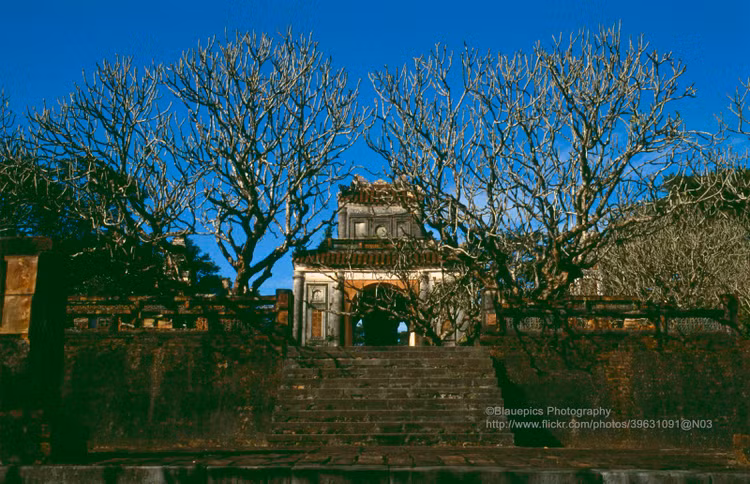 Ngan nguoi truoc ve dep moc cua Co do Hue nam 1993-Hinh-8