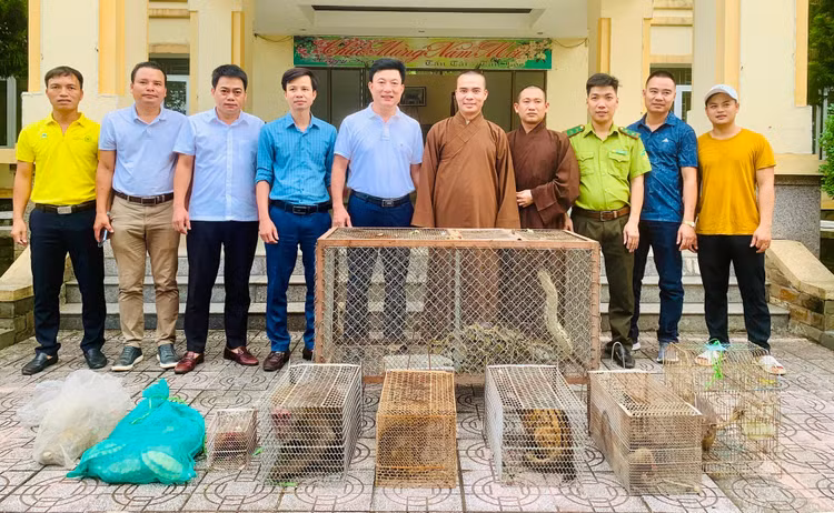 Vườn Quốc gia Vũ Quang tiếp nhận các cá thể động vật quý hiếm.