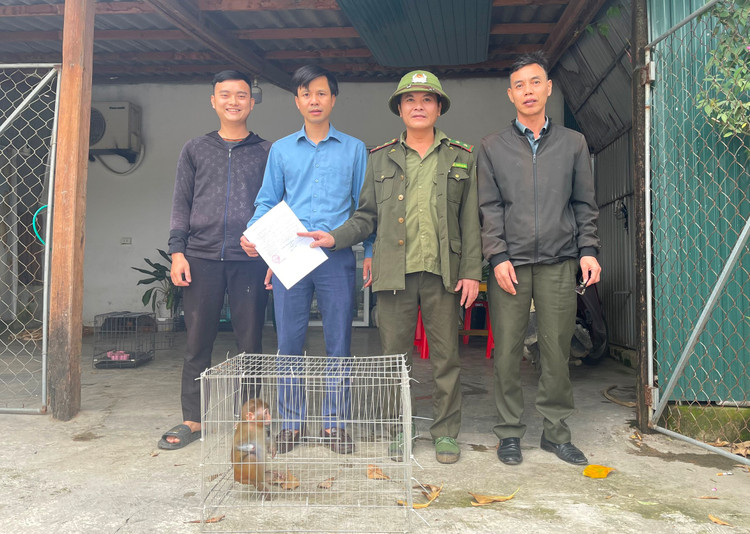 Cá thể khỉ vàng được anh Võ Xuân Sỹ bàn giao cho lực lượng chức năng.