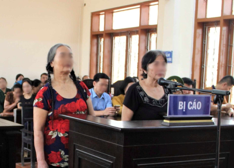 Hai bị cáo tại phiên toà...