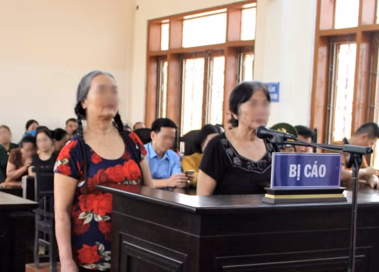 Hai bị cáo tại phiên toà...