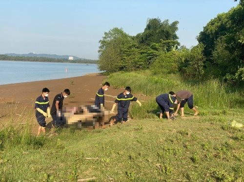 Lực lượng chức năng đưa thi thể nạn nhân lên bờ.