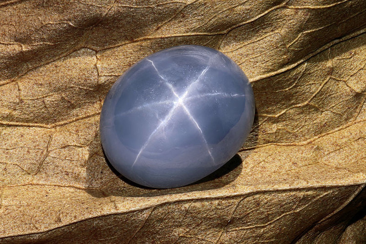 Lanh nguoi vien da quy hon 2 ty nam chua loi nguyen rung ron-Hinh-4