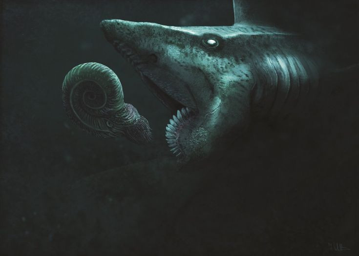 Soi loai ca map co bo rang kinh di nhat tung ton tai-Hinh-8