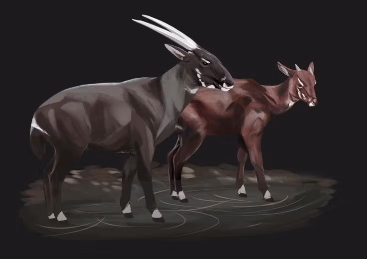 Su that bat ngo ve than thu quy hiem, bi an nhat Viet Nam-Hinh-7