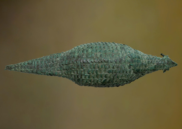 Chiem nguong tuong te te ngan tuoi vua tro thanh Bao vat quoc gia-Hinh-2