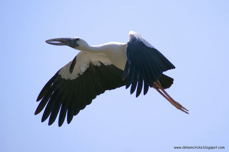 Top su that ly thu ve co nhan vua xuat hien o Quang Tri-Hinh-6