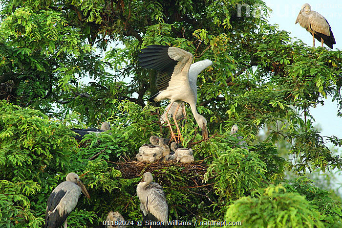 Top su that ly thu ve co nhan vua xuat hien o Quang Tri-Hinh-7