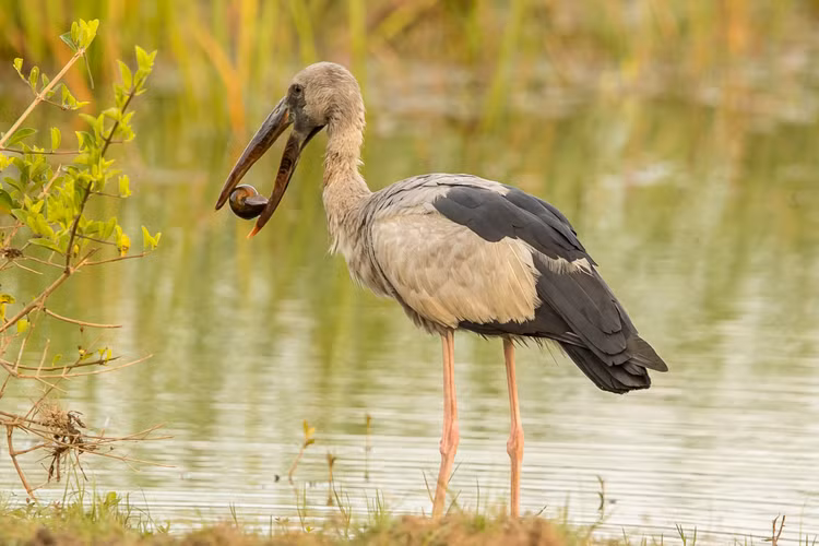 Top su that ly thu ve co nhan vua xuat hien o Quang Tri-Hinh-3