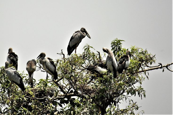 Top su that ly thu ve co nhan vua xuat hien o Quang Tri-Hinh-4