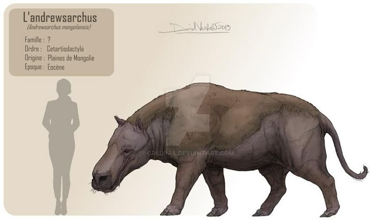 Sức mạnh kinh hoàng của loài thú săn mồi lớn nhất từng tồn tại - Hình 4 Suc manh kinh hoang cua loai thu san moi lon nhat tung ton tai-Hinh-4