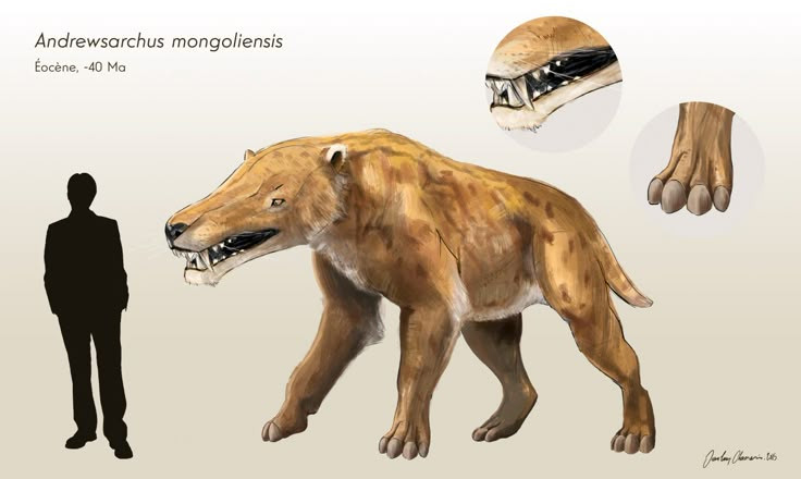 Sức mạnh kinh hoàng của loài thú săn mồi lớn nhất từng tồn tại - Hình 2 Suc manh kinh hoang cua loai thu san moi lon nhat tung ton tai-Hinh-2