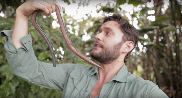 Can canh loai giun dat dai 3 met, phat ra tieng keu ky la-Hinh-10