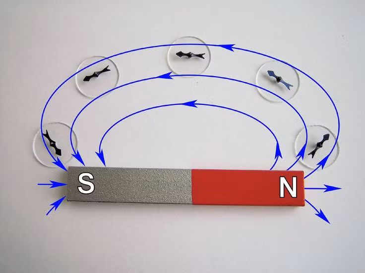 8 dieu thu vi ve nam cham vinh cuu, khong phai ai cung biet-Hinh-5