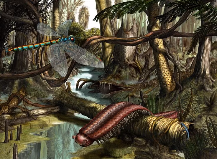 Khiep dam loai ret khong lo dai toi 3 met truon trong rung sau-Hinh-7