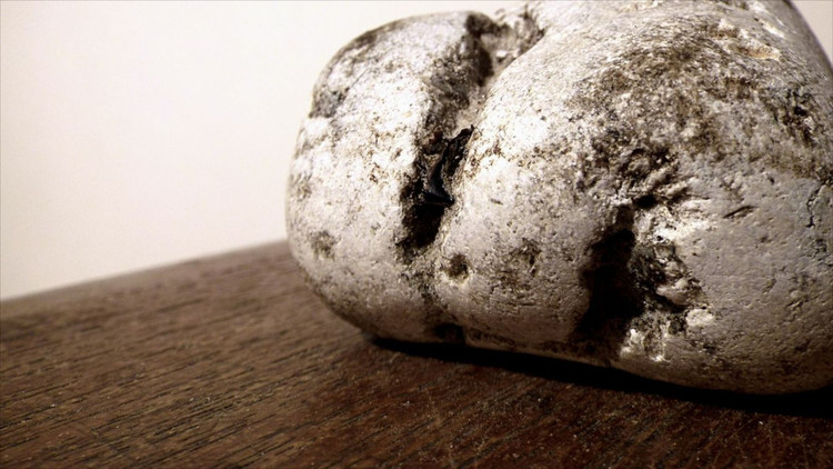 Dieu kho tin ve long dien huong: An voi trung ran cuc ngon-Hinh-10