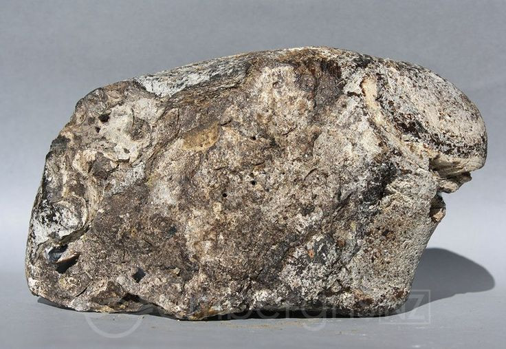 Dieu kho tin ve long dien huong: An voi trung ran cuc ngon-Hinh-5