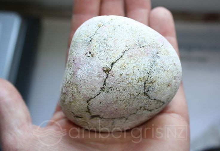 Dieu kho tin ve long dien huong: An voi trung ran cuc ngon-Hinh-8