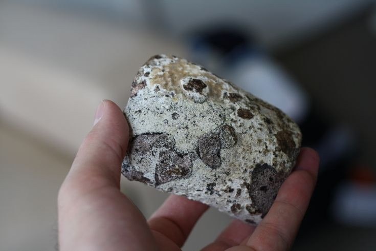 Dieu kho tin ve long dien huong: An voi trung ran cuc ngon-Hinh-7