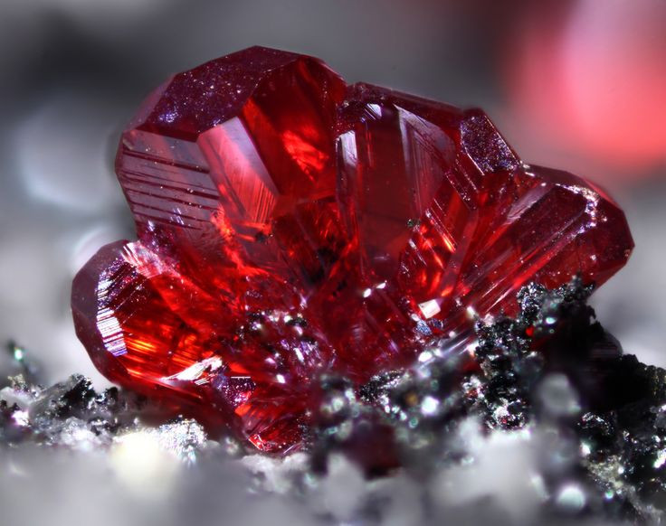 Giai ma bieu tuong huyen bi nhat cua thuat gia kim-Hinh-8