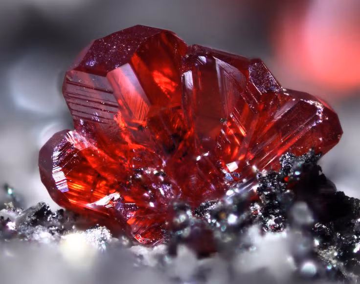 Giai ma bieu tuong huyen bi nhat cua thuat gia kim-Hinh-8