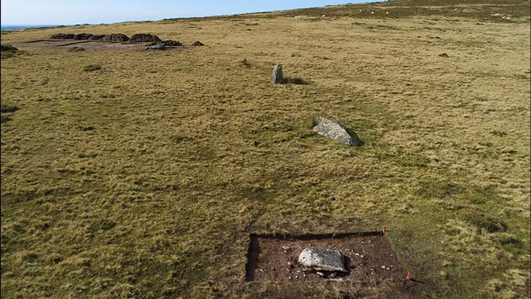 Chuyen gia noi gi ve vong tron go 4.000 tuoi moi phat lo?-Hinh-8