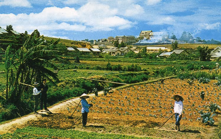 Loat anh quy nhu vang ve Da Lat nhung nam 1960-1970-Hinh-8