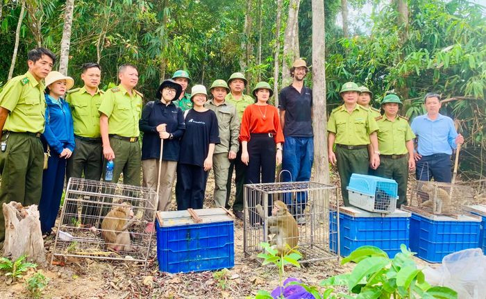 Lực lượng chức năng thả 53 cá thể động vật hoang dã quý hiếm về môi trường tự nhiên…