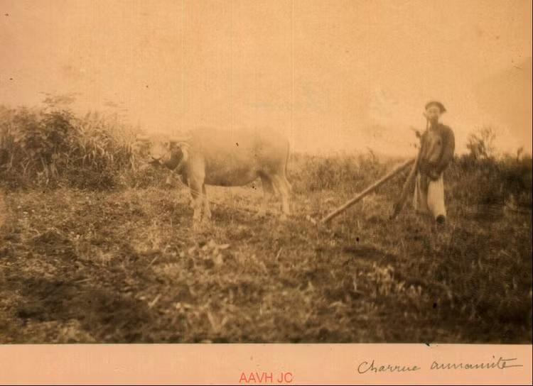 Boi hoi ngam Viet Nam nam 1885 qua loat anh dat gia-Hinh-7