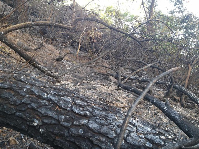 Đến sáng 13/7, đám cháy cơ bản được khống chế.