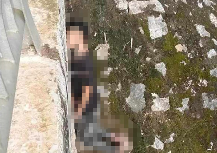 Hiện trường vụ việc đau lòng...