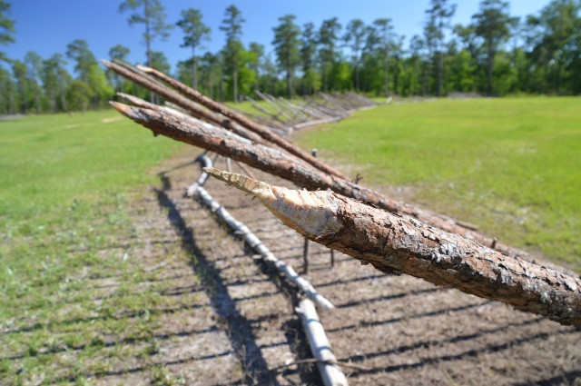 Loat vu khi khac tinh cua ky binh tren chien truong-Hinh-5