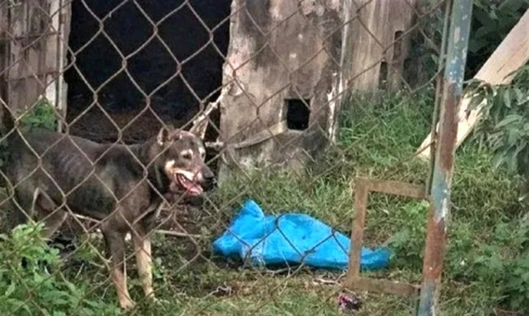 Hiện trường xảy ra vụ việc đau lòng.