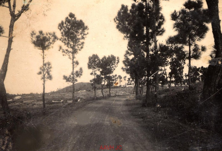 Loat anh dac biet ve Co do Hue nhung nam 1930-1940-Hinh-5