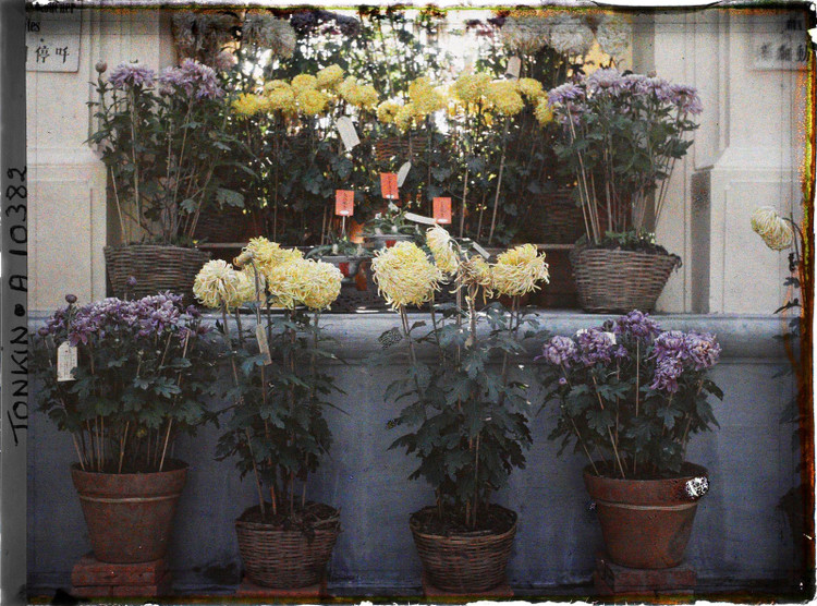 Anh mau tram tuoi: Thu choi cay canh ngay Tet cua nguoi Ha Noi xua-Hinh-2