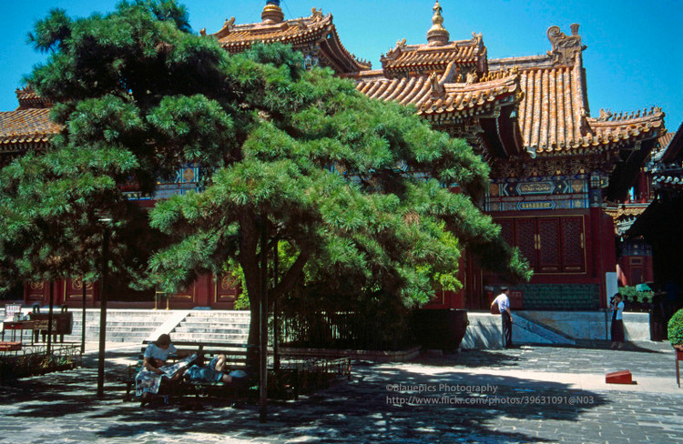 Bo anh sieu “chat” ve doi thuong o Bac Kinh nam 1998-Hinh-6