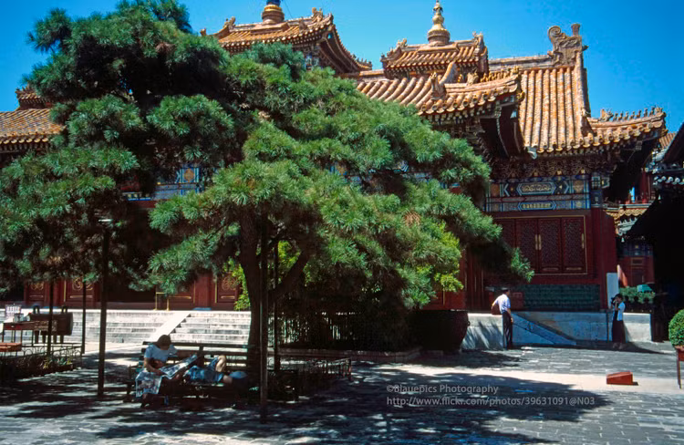 Bo anh sieu “chat” ve doi thuong o Bac Kinh nam 1998-Hinh-6