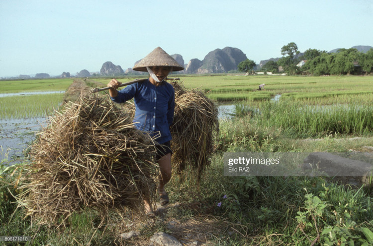 Loat anh hiem doc ve ba mien Viet Nam nam 1995-Hinh-2