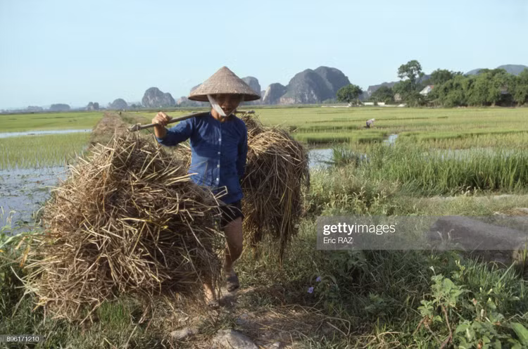 Loat anh hiem doc ve ba mien Viet Nam nam 1995-Hinh-2