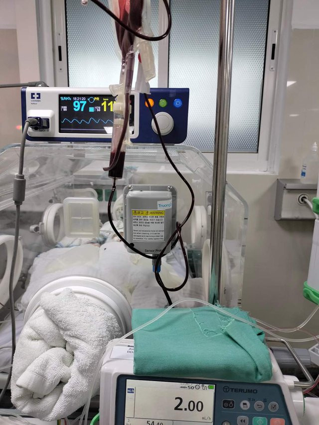 Dù các y bác sĩ đã nỗ lực cấp cứu, nhưng cháu bé không qua khỏi.