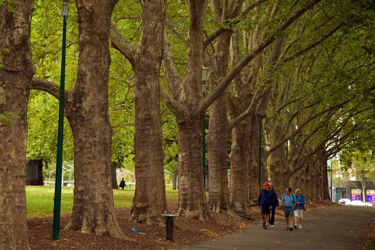 Lac loi trong khu vuon co xua noi tieng nhat Australia-Hinh-4