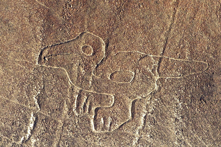 Giai thich chan dong ve hinh ve khong lo o cao nguyen Nazca-Hinh-8