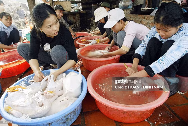 Loat anh de doi ve Ha Noi tron 20 nam truoc (1)-Hinh-12
