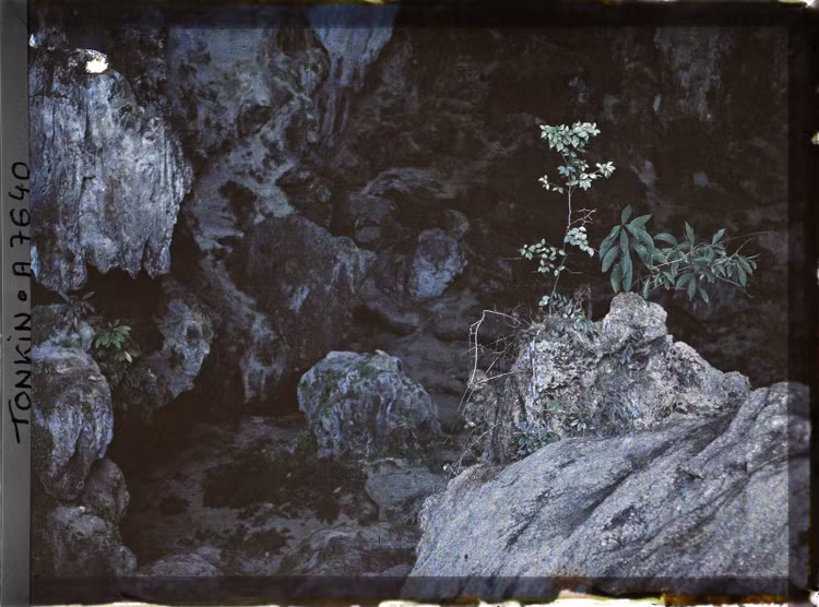 Ngat ngay voi ve dep vinh Ha Long trong anh mau nam 1916 (2)-Hinh-5