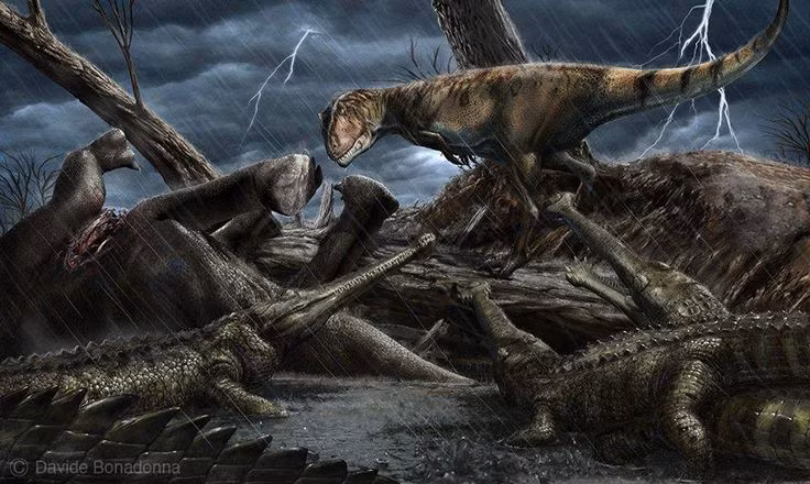 Soi bo suu tap hoa thach khung long co 1-0-2 o Ha Noi-Hinh-14